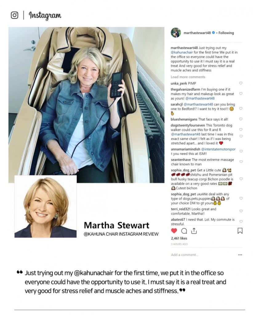 Martha Stewart - Kahuna massage chair